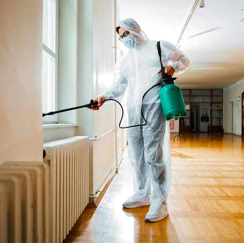 PROTECTPARASITE 75 : Service de désinsectisation des nuisibles sur Paris et l’Île-de-France. Protectparasite 75 intervient sur Paris et en Île-de-France pour tous vos besoins de traitement punaises de lit et puces sur Paris et l’Île-de-France ainsi que la désinsectisation des cafards sur Paris et l’Île-de-France. Nous sommes expert local dans l’élimination de nuisibles. 