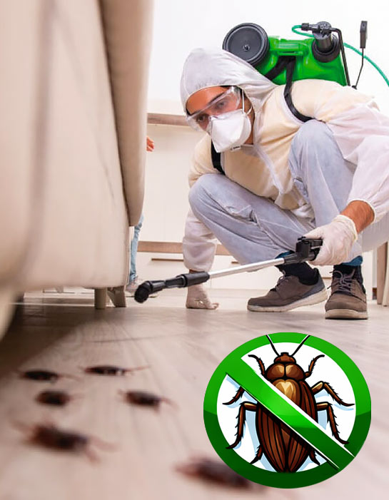 PROTECTPARASITE 75 : Service de désinsectisation des nuisibles sur Paris et l’Île-de-France. Protectparasite 75 intervient sur Paris et en Île-de-France pour tous vos besoins de traitement punaises de lit et puces sur Paris et l’Île-de-France ainsi que la désinsectisation des cafards sur Paris et l’Île-de-France. Nous sommes expert local dans l’élimination de nuisibles. 