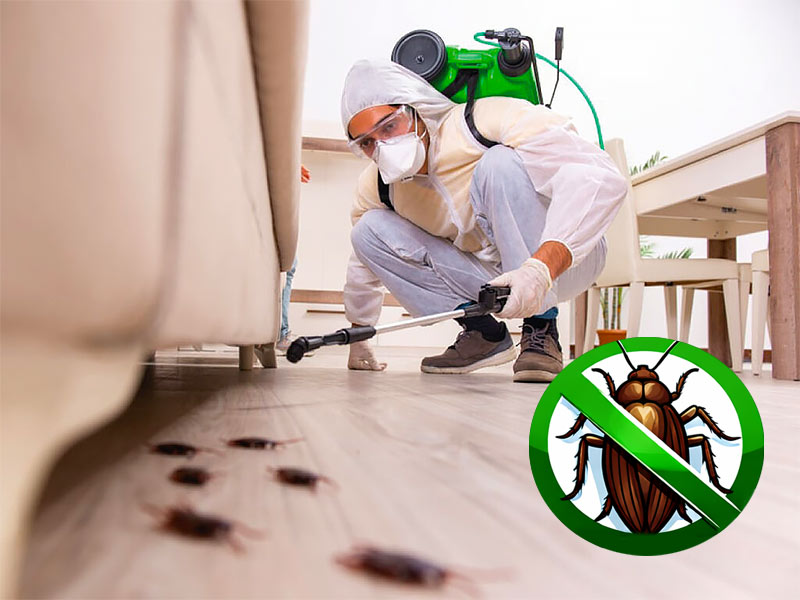 PROTECTPARASITE 75 : Service de désinsectisation des nuisibles sur Paris et l’Île-de-France. Protectparasite 75 intervient sur Paris et en Île-de-France pour tous vos besoins de traitement punaises de lit et puces sur Paris et l’Île-de-France ainsi que la désinsectisation des cafards sur Paris et l’Île-de-France. Nous sommes expert local dans l’élimination de nuisibles. 