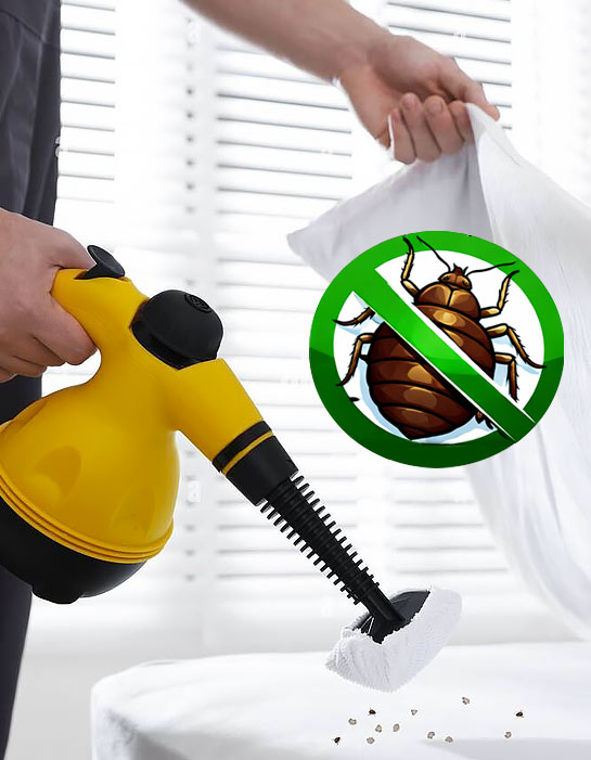 PROTECTPARASITE 75 : Service de désinsectisation des nuisibles sur Paris et l’Île-de-France. Protectparasite 75 intervient sur Paris et en Île-de-France pour tous vos besoins de traitement punaises de lit et puces sur Paris et l’Île-de-France ainsi que la désinsectisation des cafards sur Paris et l’Île-de-France. Nous sommes expert local dans l’élimination de nuisibles. 