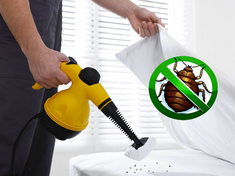 PROTECTPARASITE 75 : Service de désinsectisation des nuisibles sur Paris et l’Île-de-France. Protectparasite 75 intervient sur Paris et en Île-de-France pour tous vos besoins de traitement punaises de lit et puces sur Paris et l’Île-de-France ainsi que la désinsectisation des cafards sur Paris et l’Île-de-France. Nous sommes expert local dans l’élimination de nuisibles. 